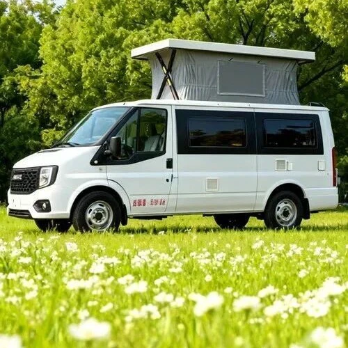 江陵福順中軸超低車頂銷售型攝政車 [配硬車頂升起]